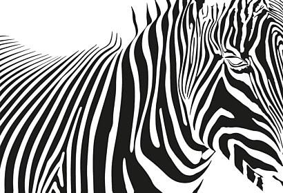 Čiernobiela tapeta Zebra 1773